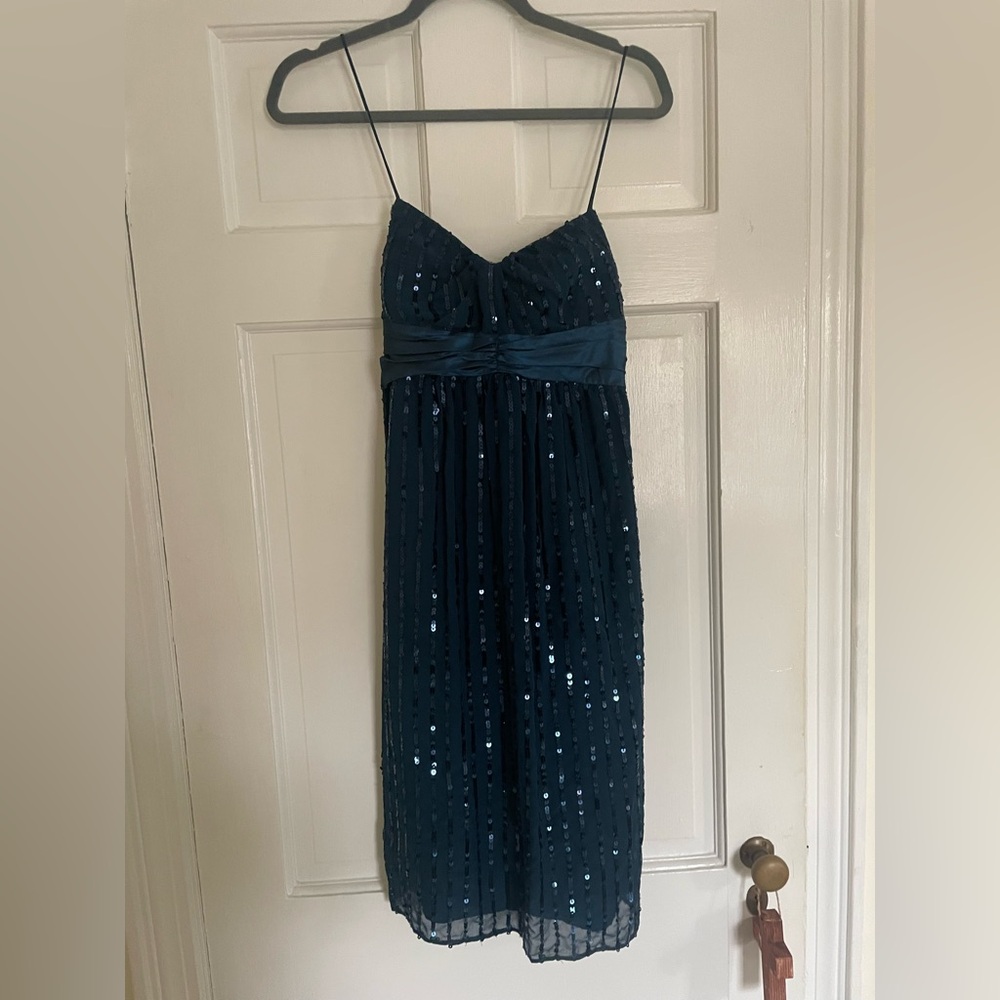 Elegant Slim and Sparkly Sequin Dress